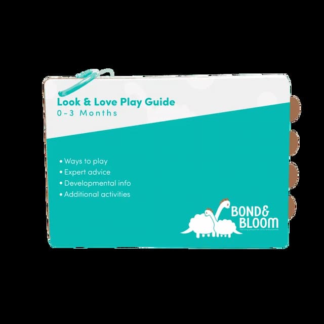 Play Guide