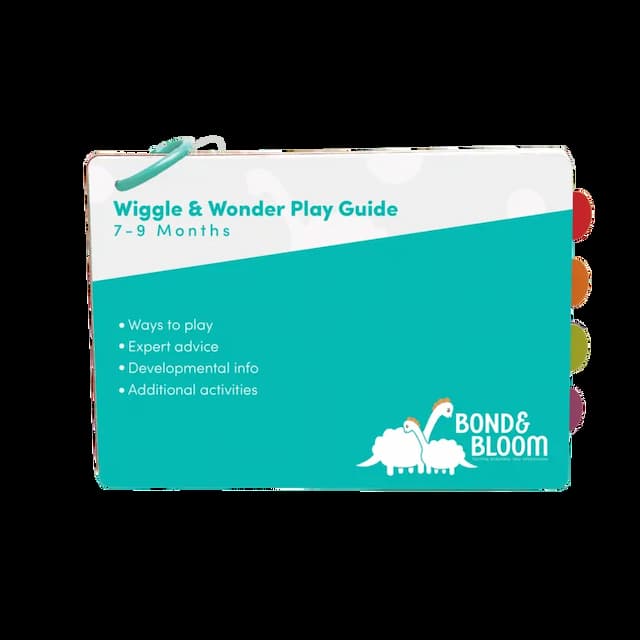 Play Guide