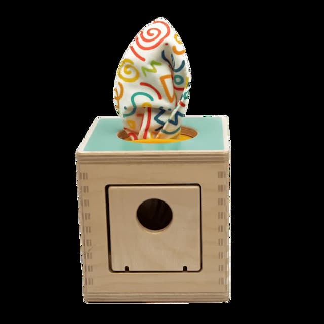 Mystery Tissue Box