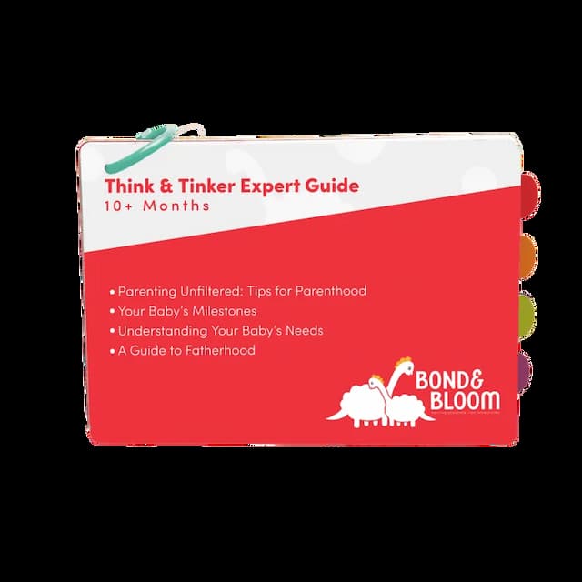 Expert Guide